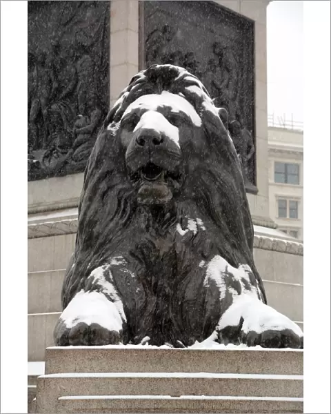 Snow on a lion in Trafalgar Square, London