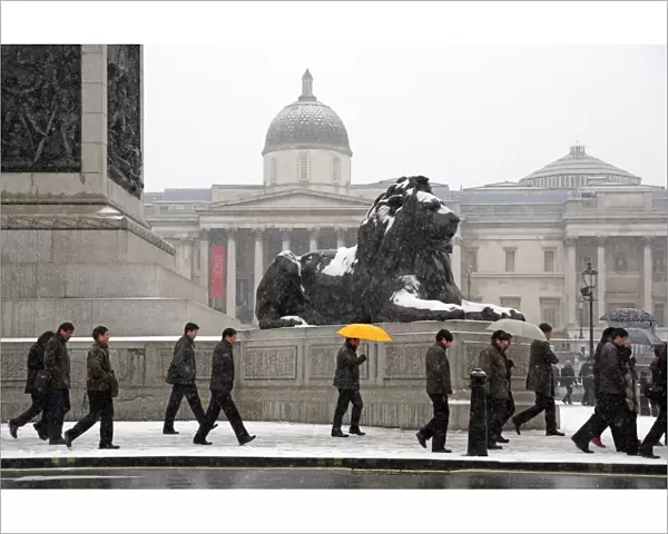 Snow on a lion in Trafalgar Square, Londo