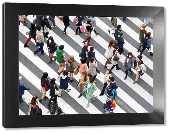 Street scene of people on a zebra crossing in Harajuku, Tokyo, Japan