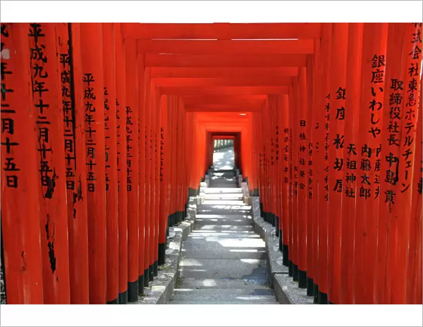 Red Torii Shrine Gates at Hie-Jinja Temple in Tokyo, Japan