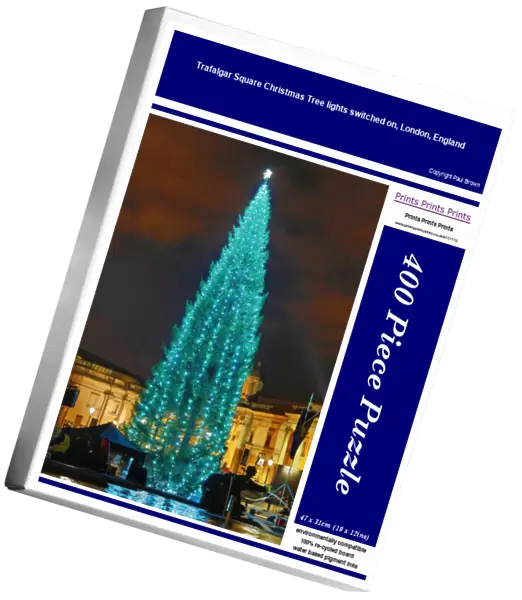 Trafalgar Square Christmas Tree lights switched on, London, England