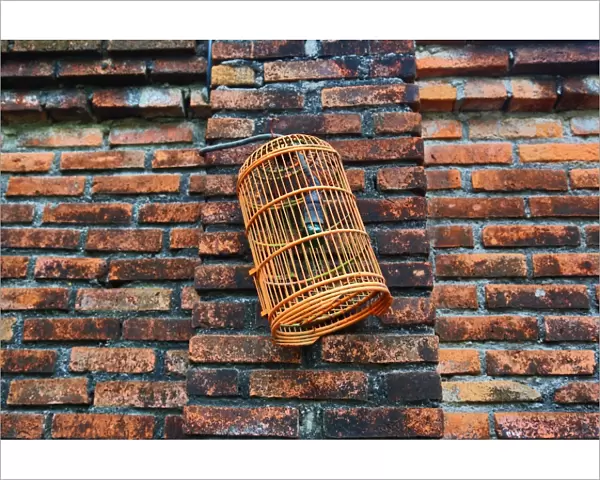 Empty birdcage hanging on a wall in Legian, Denpasar, Bali, Indonesia