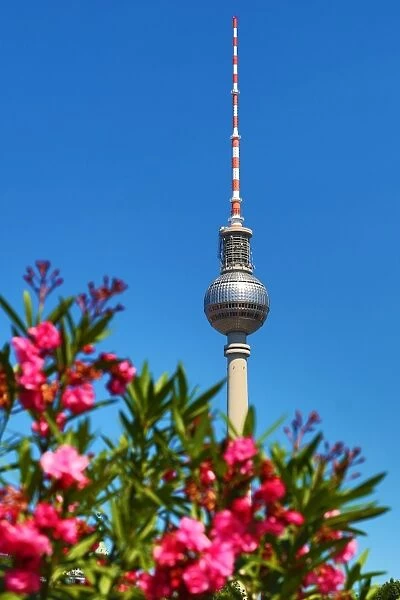 Berlin TV Tower, Fernsehturm, television tower and flowers in spring in Berlin, Germany
