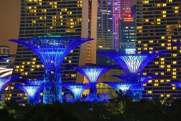 Blue Supertree Grove, Gardens by the Bay, Singapore, Republic