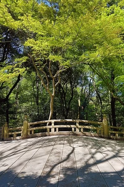 Bridge in Yoyogi Park in Harajuku, Tokyo, Japan