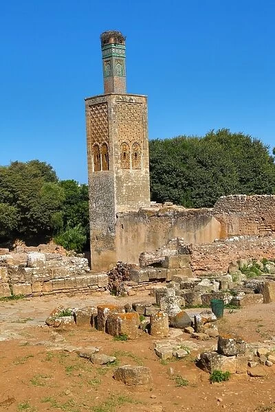 The Chellah, a medieval fortified necropolis in Rabat, Morocco