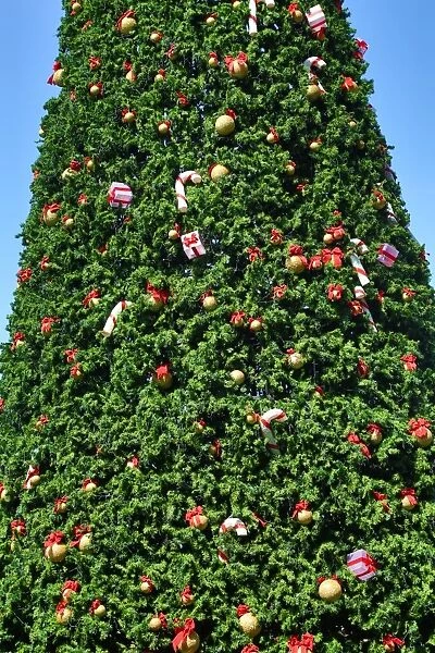 Christmas Tree Decorations on a Xmas Tree in Pattaya, Thailand