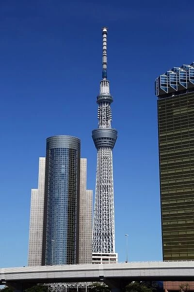 City skyline of Sumeda with the Tokyo Skytree Tower, Tokyo, Japan