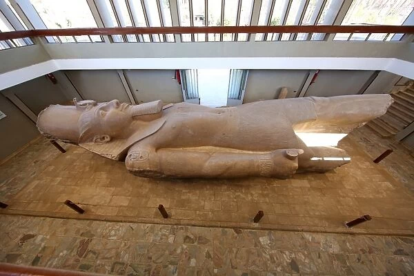 The Colossus of Ramesses II, Pharoah of Egypt statue at the Memphis Museum, Cairo, Egypt