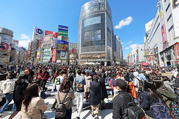 Crowds crossing the Shibuya pedestrian crossing in Shibuya, Tokyo, Japan