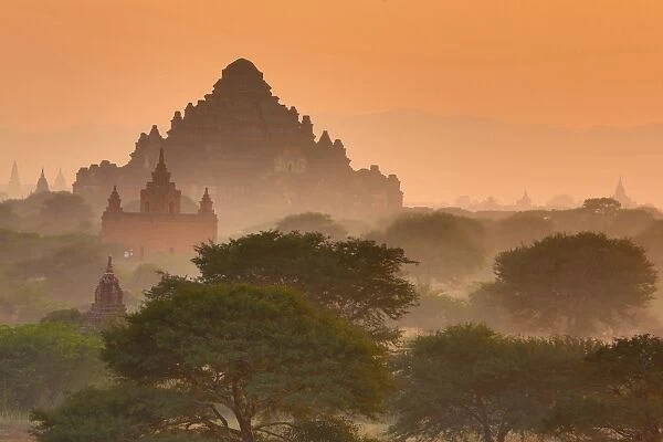 Dhammayangyi Pagaoda and Temples and pagodas at sunset on the Central Plain of Bagan