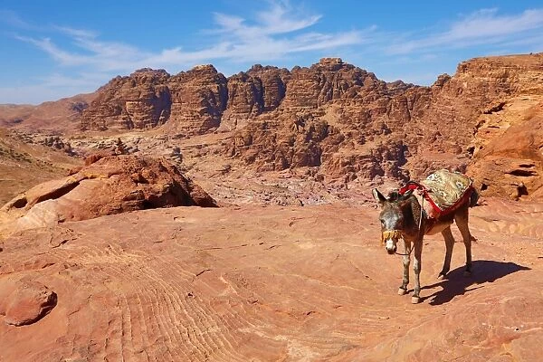 A donkey and view of sandstone rock formations overlooking the valley of the rock city of Petra