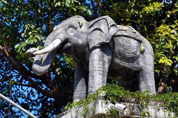 Elephant statue at Wat Lam Chang Temple in Chiang Mai, Thailand