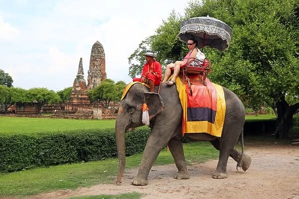 Elephants for sightseeing tours in Ayutthaya, Thailand