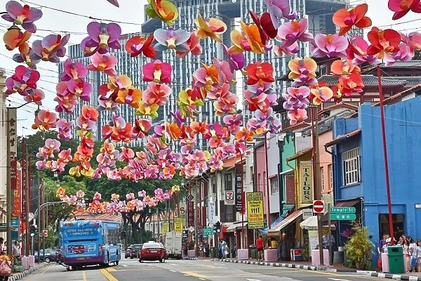 Flower lights in the street in Chinatown for Autumn Festival in Singapore, Republic of Singapore