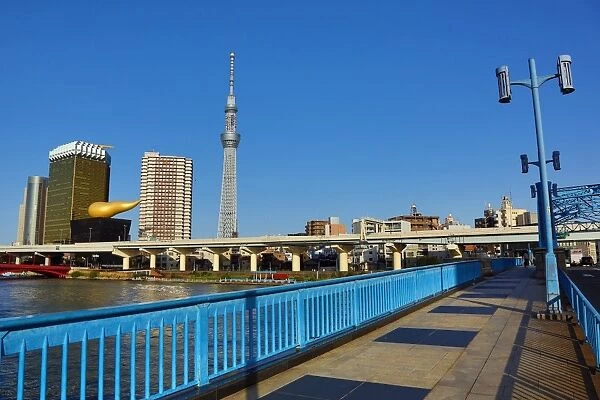 General view of the city skyline of Asakusa with the Tokyo Skytree Tower and the Asahi Beer Headquarters and gold flame building, Tokyo, Japan