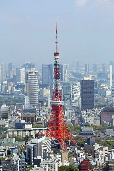 General view of the city skyline of Tokyo with the Tokyo Tower, Tokyo, Japan