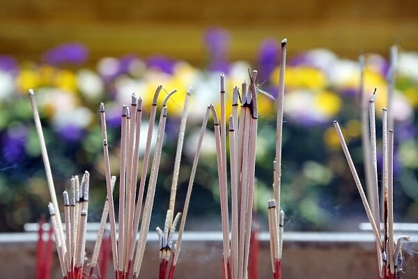 Incense sticks burning at a Buddhist temple, Bangkok, Thailand