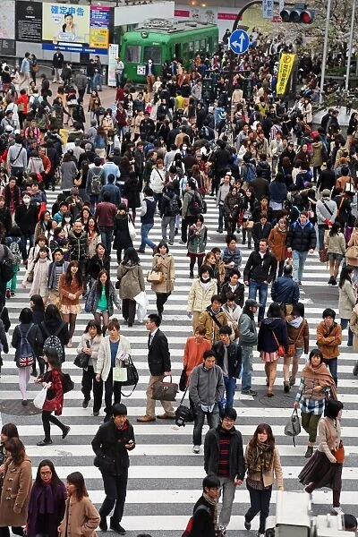 Japanese street scene showing crowds of people crossing the street on a pedestrian crossing in Shibuya, Tokyo, Japan