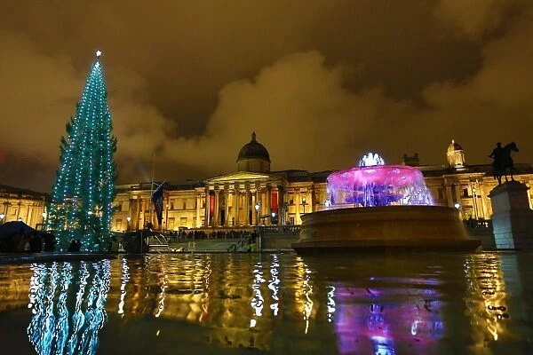 Lighting of the Trafalgar Square Christmas Tree lights in London