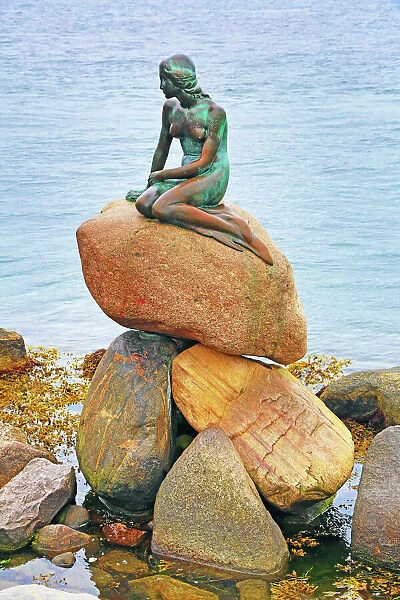 Little Mermaid statue sitting on rocks in Copenhagen (Photos Prints ...