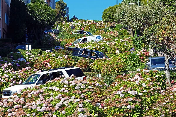 Lombard Street, the crookedest street in the workd in San Franciso, California, USA