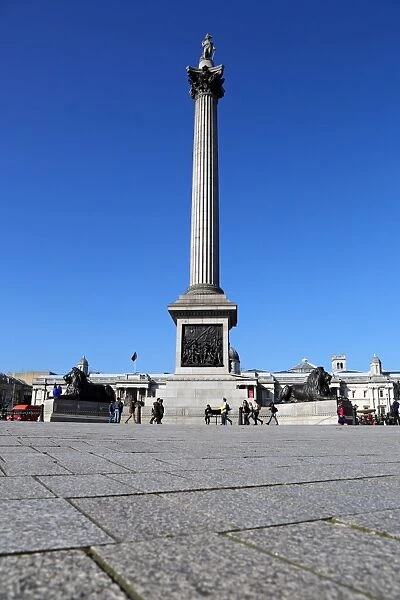 Nelsons Column in Trafalgar Square, London, England