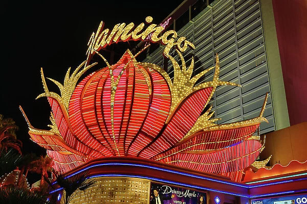 Neon lights of the Flamingo Hotel and Casino at night, Las Vegas, Nevada, America