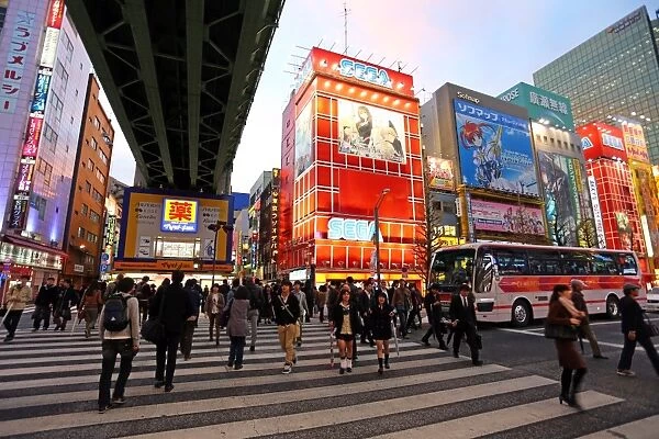 Night scene of people on a zebra crossing and buildings, signs and lights in the street in Akihabara, Electric Town, Tokyo, Japan