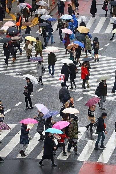 People carrying umbrellas in the rain walking across the pedestrian crossing in Shibuya, Tokyo, Japan
