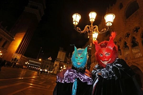 People wearing cat masks and costumes at the Venice Carnival