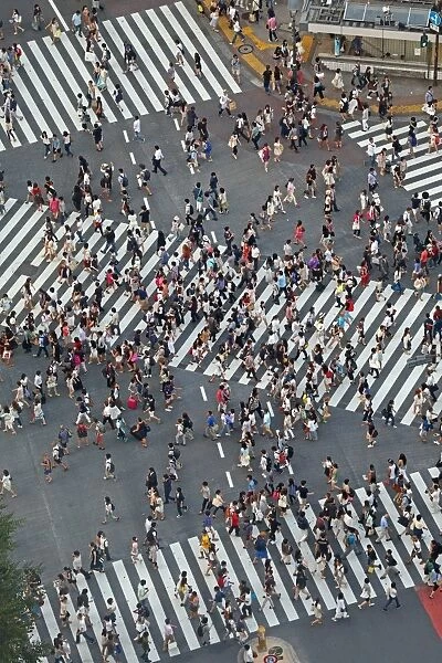 People on the zebra pedestrian crossing in Shibuya, Tokyo, Japan