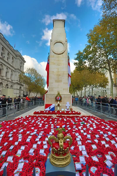 Poppy Wreaths at the Cenotaph, Remembrance Sunday, London