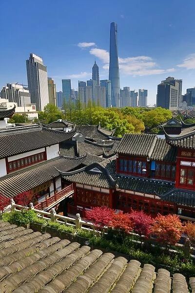 The Pudong city skyline in Shangha in the background of the Yuyuan gardens in the Old City, Shanghai, China
