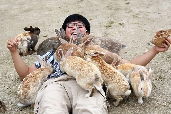 The Rabbits of Okunoshima, known as Rabbit Island, in Japan