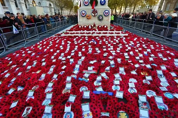 Remembrance Day poppies at the Cenotaph, London