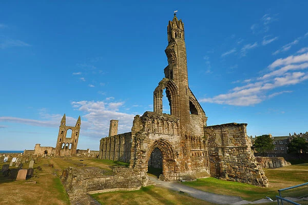 Ruins of St Andrews Cathedral, St Andrews, Fife, Scotland