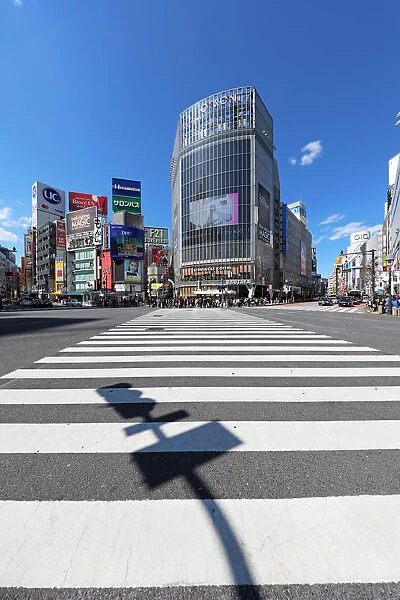 Empty Shibuya pedestrian crossing in Shibuya with shadow, Tokyo, Japan