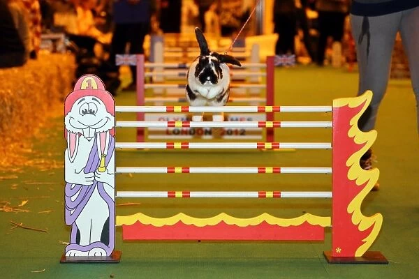 Show-jumping rabbit from Sweden at the London Pet Show 2013