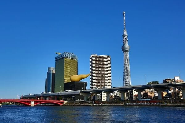 Skyline of the buildings in Sumida including the Tokyo Skytree as seen from the Sumida river in Asakusa, Tokyo, Japan