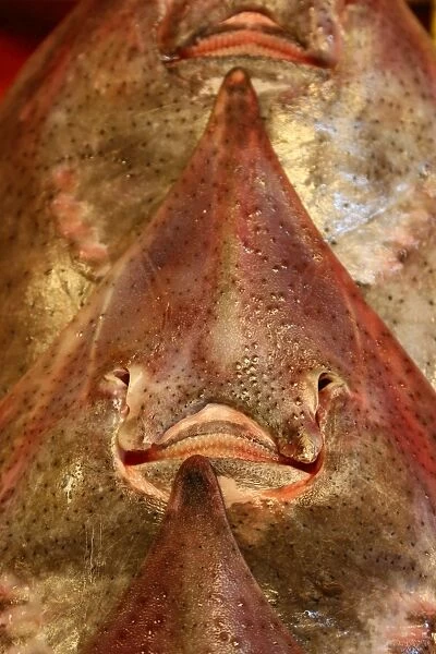 Smiling face of fish at the Noryangjin Fish and Seafood Market in Seoul, Korea