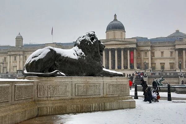 Snow on a lion and the National Gallery in Trafalgar Square, London