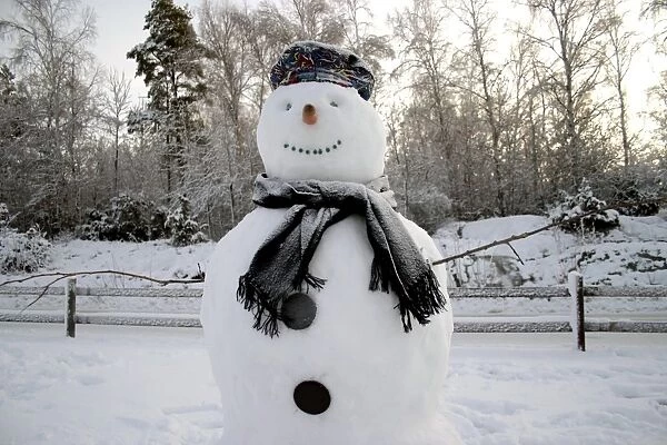Snowman in Winter