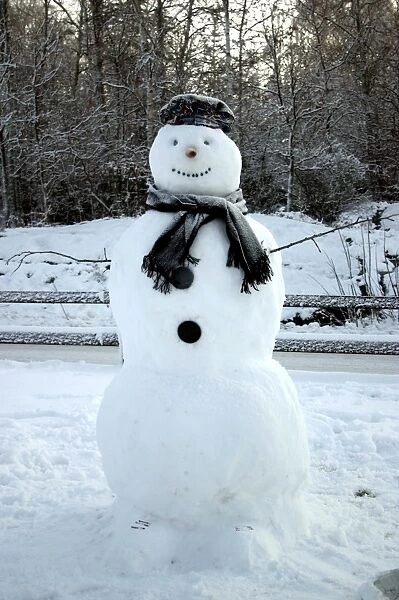 Snowman in winter snow