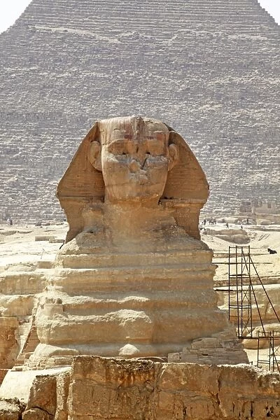 The Sphinx in Cairo, Egypt