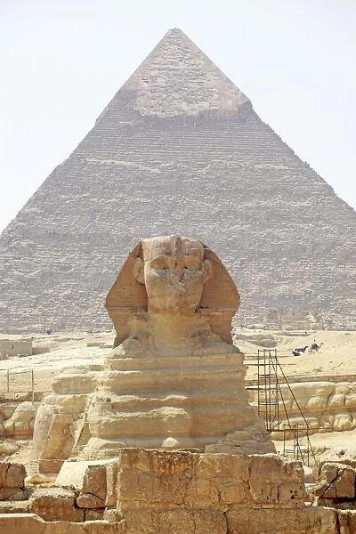 The Sphinx in Cairo, Egypt