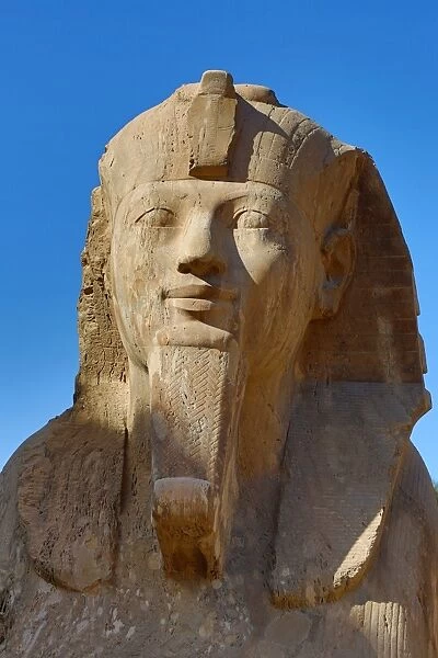 The Sphinx of Memphis statue at the Memphis Museum, Cairo, Egypt
