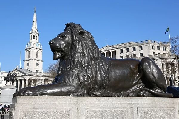 Statue of lion beneath Nelsons Column in Trafalgar Square, London, England