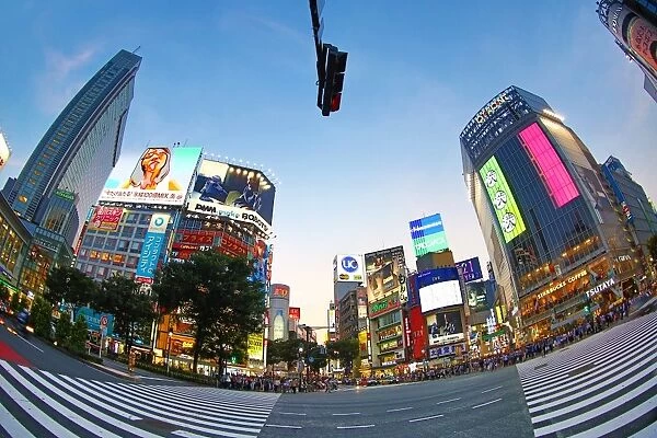 Sunset at the pedestrian crossing at the intersection in Shibuya, Tokyo, Japan