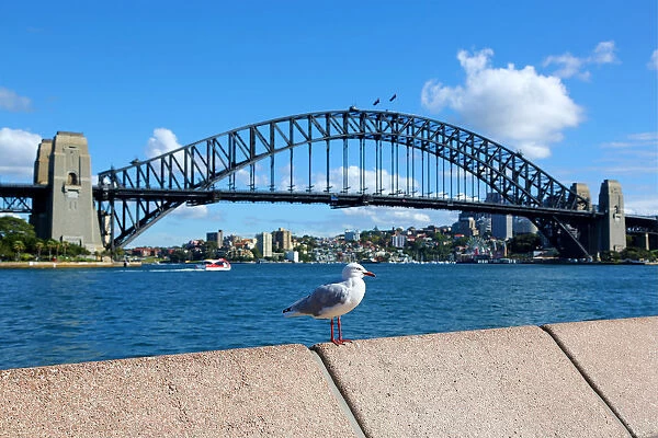 Sydney Harbour Bridge, Sydney, New South Wales, Australia